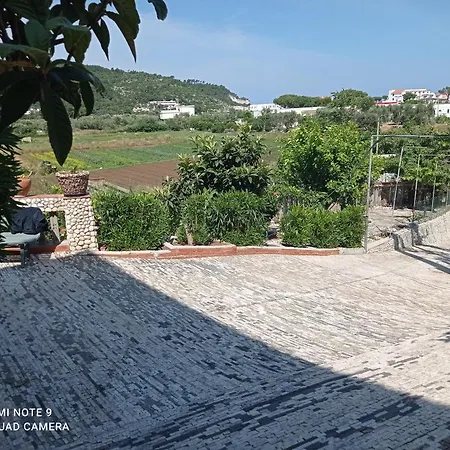 Dom wakacyjny Casa Delle Arance