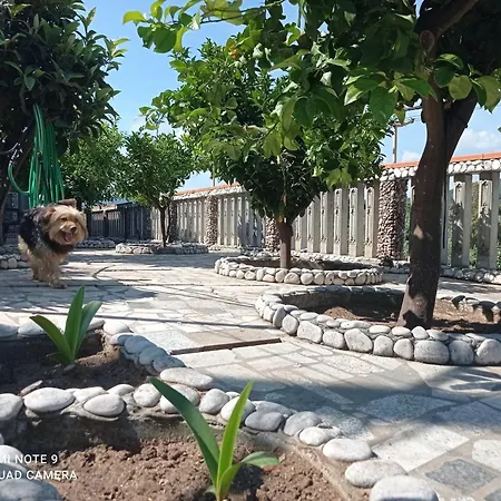 Casa Delle Arance Peschici